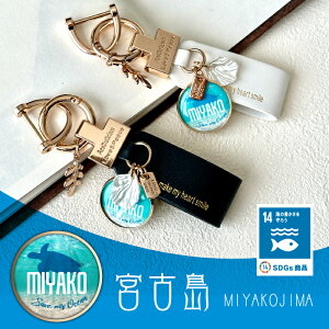 SDGs L[O L[z_[ C D {Ó MIYAKOJIMA PU U[ T zk A[g {Ãu[ nCA Mtg v[g yY  yA  IV  S[h