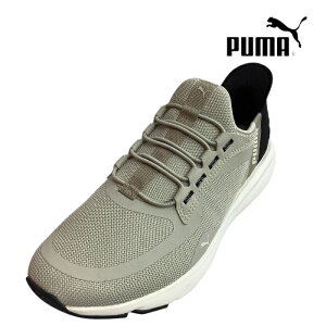 yPUMA v[} SOFTRIDE FLEX LACE EASE IN ALT@ 311996 05@Desert Dust/Puma Blackz@v[}\tgChC[YC Y @Xj[J[@JWA