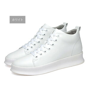  Xj[J[ Y 10cm 8cm 6cm   nCJbg PUU[ v [XAbv  V[Y C q[Abv wȂ gAbv ₷ y Vv 傫TCY J