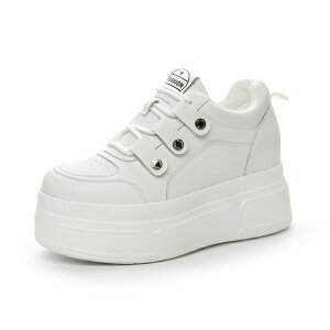 Xj[J[ fB[X gAbv V[Y V[NbgV[Y V[NbgC V[NbgXj[J[ C\[ Xj[J[ q[ 9cm 킢 Vv _ y ʋC 