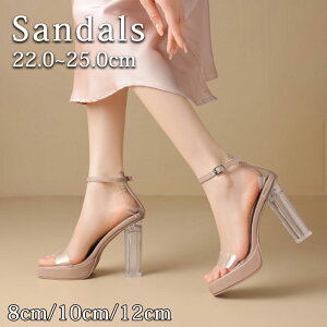 y2010OFFN[|zNAT_ fB[X  Xgbv xg `L[q[ 8cm 10cm 12cm ANXgbv NAq[   ₷ r nCq[  