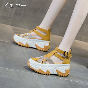 Xj[J[T_ fB[X X|[cT_ X|T T_ q[6.5cm gUP ~[ I[vgD V[Y C  RtH[g tbg ₷ r  y r