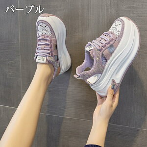 y3010OFFN[|z T_ Xj[J[T_ LL fB[X X|[cT_ X|T q[7.5cm gUP ~[ I[vgD V[Y C  RtH[g