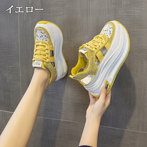 y2010OFFN[|z T_ Xj[J[T_ LL fB[X X|[cT_ X|T q[7.5cm gUP ~[ I[vgD V[Y C  RtH[g
