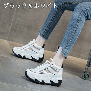 y2510OFFN[|zXj[J[T_ fB[X X|[cT_ X|T T_ q[6.5cm gUP ~[ I[vgD V[Y C  RtH[g tbg 