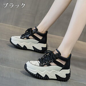 y3010OFFN[|zXj[J[T_ fB[X X|[cT_ X|T T_ q[6.5cm gUP ~[ I[vgD V[Y C  RtH[g tbg 