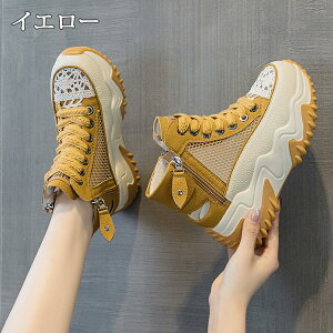 y1510OFFN[|zXj[J[T_  ėp fB[X 6.5cmq[ X|[cT_ nCJbg X|T gUP ~[ V[Y C  RtH[g ʋC 