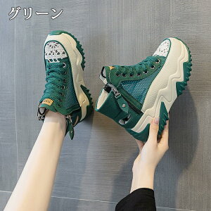 y3010OFFN[|zXj[J[T_  ėp fB[X 6.5cmq[ X|[cT_ nCJbg X|T gUP ~[ V[Y C  RtH[g ʋC 