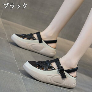 y3010OFFN[|zXj[J[T_ fB[X X|[cT_ X|T T_ q[4cm gUP ~[ I[vgD V[Y C  RtH[g tbg 