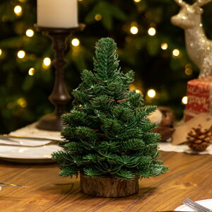 y2510OFFN[|zNX}Xc[ c[ k  NX}Xc[ ~j I[ig 25cm ڂ ~jNX}Xc[  O[ H k[hc[ Xm