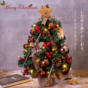 NX}Xc[  45cm ~jc[ k  I[igZbg LEDCg  bh c[ NX}X ~jc[ ^ u ڂt NX}X CeA