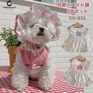 nEB Ch RXv L  RXv RX`[ Ch s[X [X Pl t hX Lp p Ch ybg  ^ ^ RX`[ [^ RX