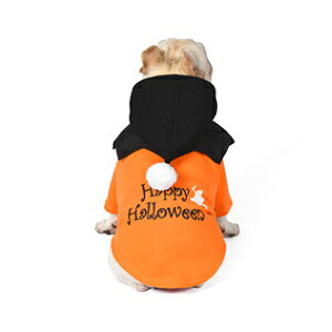 nEB ڂ J{` S[Xg H   RXv  L  RXv RX`[ ڂ̌ L Ȃ肫  RX`[ 蕨 pvL RXv RX