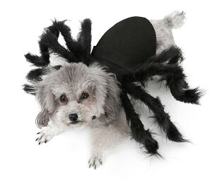 nEB w RXv ybgp ybg RXv   L  RXv L RX`[ RXvߑ ybg  L 낢 ^ ^  cosplay n