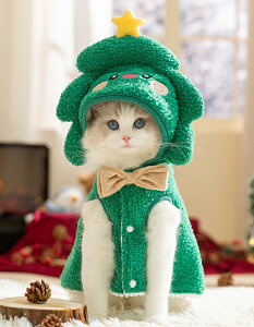 ybg NX}XRX`[ NX}Xc[ c[ giJC NX}X RX`[  킢 NX}XEFA  L ˂   hbOEFA [ht Mtg 