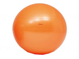 ボディーボール バランスボール エクササイズ ストレッチ トレーニング H7262 トーエイライト