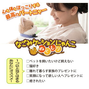 yBF̓|CgUPJÁIzȂ݃P[Vɂ ʂ ˂ ʂ ˂ʂ dybg R~jP[VgC C