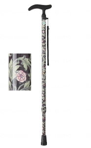 ANeBu O[X LkS Lk Lk 1{  hV̓ ̓ ̓ WB3757 tWz[