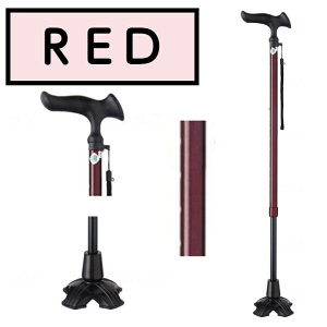 邪 E4_DX LkSEMp Lk Lk 1{  hV̓ ̓ ̓ WB3778 tWz[