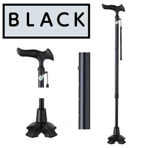 邪 E4_DX LkSEMp Lk Lk 1{  hV̓ ̓ ̓ WB3778 tWz[