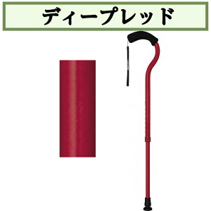 t~SN Lk Lk Lk 1{  hV̓ ̓ ̓ WB3882 tWz[