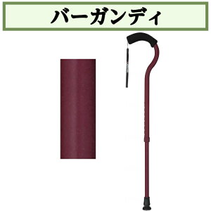 t~SN Lk Lk Lk 1{  hV̓ ̓ ̓ WB3882 tWz[