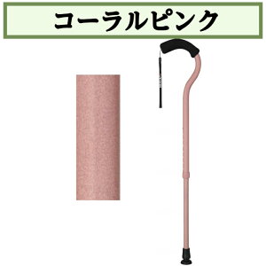 t~SN Lk Lk Lk 1{  hV̓ ̓ ̓ WB3882 tWz[