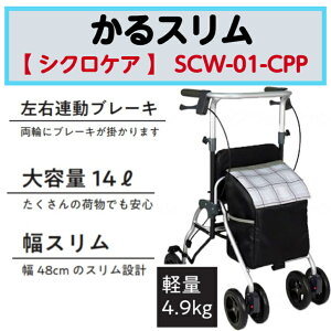 X s sT|[g y RpNg X^Cv pi   SCW-01-CPP VNPA