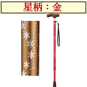 LEPC 1{  hV̓ ̓ ̓ MRZ-17007 ~L