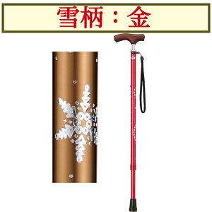 LEPC 1{  hV̓ ̓ ̓ MRZ-17007 ~L