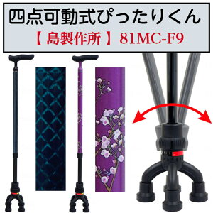 l_҂肭 4{  _ hV̓ ̓ ̓ 81MC-4 쏊