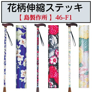 ԕLkXebL Lk 1{  hV̓ ̓ ̓ 46-F4 쏊