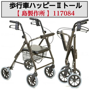 yBF̓|CgUPJÁIzsԃnbs[2g[ s sT|[g ₷ Obv` ʃNbV pi   117070 |