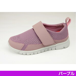 Xgb`jbgV[Y W750 {]|\hw  y Xgb`jbg ܂ɂ xg ނ V[Y C W750 }Ak