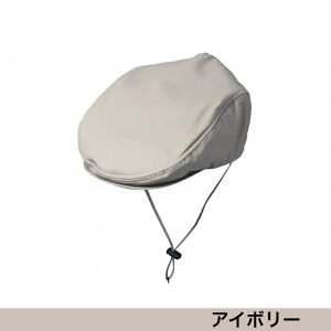 ySSԃGg[Ń|Cg10{IzłwbhK[h@H^Cv  ]| ی Xq wbhMA Ռz wbhK[h ܂ K[h  y KM-1000H L^