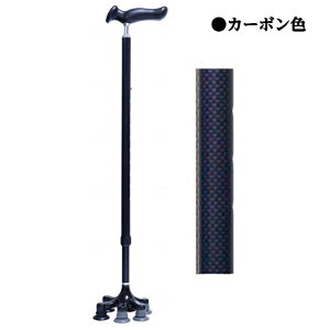 yBF̓|CgUPJÁIzAVXgX[p[_񑽓_ hV̓ ̓ ̓ AVXgC^[iVi AJ089