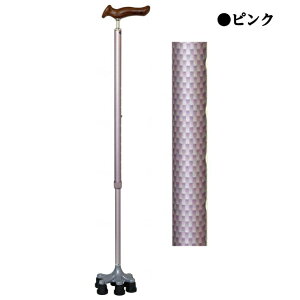 yBF̓|CgUPJÁIzAVXgX[p[_񑽓_ hV̓ ̓ ̓ AVXgC^[iVi AJ089