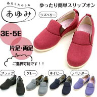 【母の日イベント開催】ゆったり簡単スリップオン スリッポン あゆみ あゆみシューズ 介護シューズ 3E 5E…
