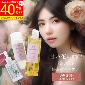 【40%OFF】4日20時スタート★8,900円→5,340円【公式】ケアネス 美容室専売 シャンプー 300ml&トリートメント フルーティーフローラル 200g&ヘアオイル リノ 92ml セット careness ギフト コラーゲン タンパク質 ノンシリコン サロン くせ毛 改善