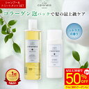【スーパーSALE期間限定 半額セール】5,800円→2,900円★4日20時スタート★【公式】 楽天1位 ケアネス 美容室専売 シャンプー コラーゲン 美容液 タンパク質 FC フレッシュシトラス 300ml トリートメント シトラス 200g セット careness サロン専売品 ダメージケア 髪質改善