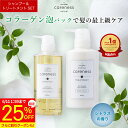 【25%OFF スーパーSALE期間限定】11日10時まで★8,400円→6,300円★【公式】【楽天1位】ケアネス 美容室専売 シャンプー コラーゲン タンパク質 500ml＆トリートメント 400g FC フレッシュシトラス careness 泡パック ノンシリコン くせ毛改善