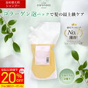 【20%OFF スーパーSALE期間限定】4日20時スタート★7,290円→5,832円★【公式】【詰め替え】ケアネス 美容室専売 シャンプー コラーゲン FF フローラル 1000ml ※ボトルなし リフィル/レフィル careness ノンシリコン くせ毛 サロン専売品 ダメージケア 吊り下げ