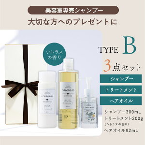 yʌIMtgEv[gpZbgzPAlX eꔄ Vv[ R[Q ^pN FC FF 300ml&g[gg 200g tbVVgX t[eB[t[ wAIC