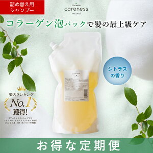 y֏20%OFFzylߑւzPAlX eꔄ Vv[ R[Q et FC tbVVgX 1000ml {gȂ l tB/tB careness Mtg v[g mVR