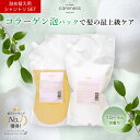 【定期便初回17.5%OFF】【公式】【詰め替え】【セット】ケアネス 美容室専売 シャンプー 1000ml トリートメント 1000g コラーゲン 美容液 FF フローラル ※ボトルなし 詰替 リフィル/レフィル くせ毛 サロン専売品 ダメージケア 吊り下げ