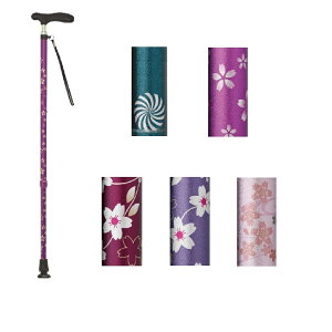 Lka񎩗sł肵ĕs邽߂