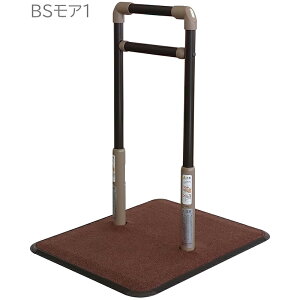 yBSA1zVRNi[J[jiԁF625-110