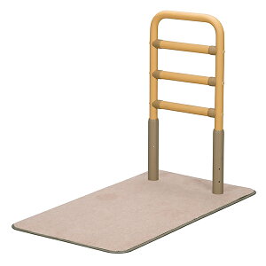 yxXgT|[g肷2zVRNi[J[jiԁF625-020