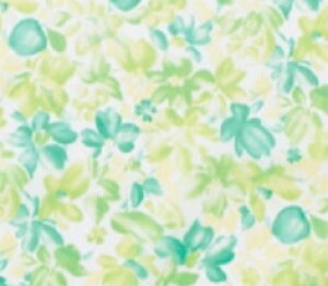 y|XgzHpGv 6060 BG[ { l   Hׂڂ Gv ^ 􂦂 H HGv  Ō  h  sN IW O[ u