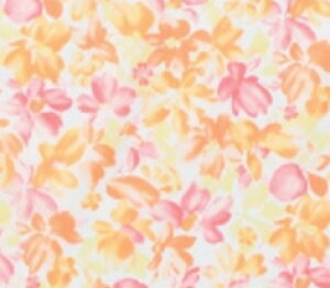 y|XgzHpGv 6060 BG[ { l   Hׂڂ Gv ^ 􂦂 H HGv  Ō  h  sN IW O[ u